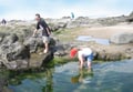 32 - ORC - Tide Pools & Kids (Blue Sky) (Cropped) 0798 (Blue Sky)